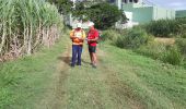 Excursión Senderismo Le Robert - Pointe Savane - Plage du Raisiinier - Photo 12