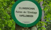 Randonnée Marche Climbach - Climbronn et le fossé antichar - Photo 2