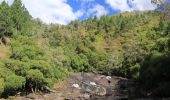 Tour Wandern Pouébo - Wikiloc - Cascade de Colnett Puebo - Photo 2