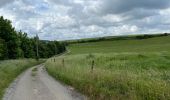 Tour Wandern Mettet - Biesmeree 26 km - Photo 10