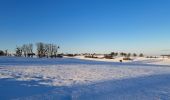 Excursión Senderismo Havelange - Méan-Maffe sous la neige... - Photo 20