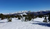 Randonnée Raquettes à neige Albiès - Beille - Orry - l'Ours - Photo 1