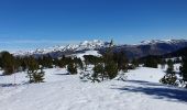 Tocht Sneeuwschoenen Albiès - Beille - Orry - l'Ours - Photo 1