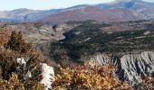 Tocht Stappen La Roche-sur-le-Buis - la montagne de Banne  - Photo 10