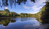 Trail Walking Clamart - Tour des etangs - Bois de Clamart et de Meudon - Photo 11