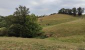 Tour Wandern Essertines-en-Donzy - Essertines en Donzy - Photo 4