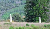 Tour Wandern Collobrières - Collobrières - Lave Desteu - Menhirs Lambert - Photo 7