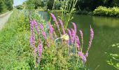 Trail Walking Banteux - canal de saint Quentin / Banteux - Vendhuile ( tunnel de Riqueval ). - Photo 8