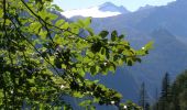 Trail On foot Carisolo - Sentiero di Val Nardis - Photo 3