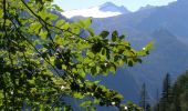 Tocht Te voet Carisolo - Sentiero di Val Nardis - Photo 3