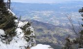 Tocht Stappen Autrans-Méaudre en Vercors - boucle la Buffe - la Sure - Photo 1