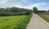 Trail Walking Berchem-Sainte-Agathe - Sint-Agatha-Berchem - Tour Zellik et échangeur de la mer 10 km - Photo 2
