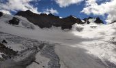 Trail Walking La Grave - Oisans 2020 : AR La Grave - lac de Puy Vachier - Col des Ruillans (glacier de Girose).ori - Photo 3
