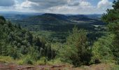 Excursión Senderismo Saint-Genès-Champanelle - puy de labassol, puy de la vache depuis la cassièrre  - Photo 4