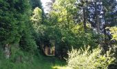 Trail Walking Arâches-la-Frasse - randonnée en forêt, les Carroz, Araches, la Frasse - Photo 6