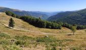 Excursión Senderismo Oderen - Hahnenbrunnen Steiwasen - Photo 2