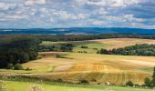 Trail On foot Homberg (Ohm) - GeoTour Felsenmeer - Photo 4