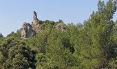 Trail Mountain bike Vaison-la-Romaine - Tour des Dentelles - Photo 1