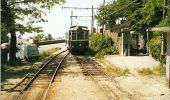 Percorso A piedi Trieste - Sentiero Nicolò Cobolli - Photo 3