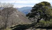 Tour Wandern Roche-Saint-Secret-Béconne - Le mont rachas - Photo 2