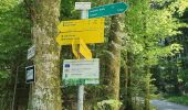 Trail On foot Frasdorf - Winterstuben-Runde - Photo 3