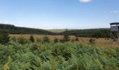 Tour Wandern Saint-Hubert - monument roi albert - Photo 2