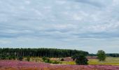 Randonnée Marche Zonhoven - La réserve naturelle De Teut à Zonhoven - Photo 3