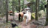 Trail Horseback riding Métairies-Saint-Quirin - rond pré rocher de calice  - Photo 6