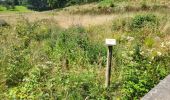 Trail Walking Ciney - Conjoux 300724 - Photo 6