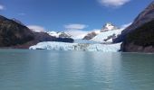 Tocht Motorboot Unknown - Sortie Bateau Patagonie 5 Glacier Spegazzini - Photo 4