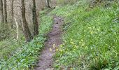 Randonnée Marche Viroinval - Nismes parcours géologique ouest 10,8 km - Photo 7