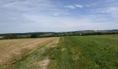 Excursión Bici de montaña Saint-Clément - Sortie vtt 09062019 Buriville Hablainville Glonville - Photo 6