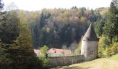 Tocht Te voet Slovenske Konjice - Trije križi - Stolpnik - Photo 7