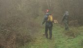 Tocht Stappen Husseren-Wesserling - nouveau  sentier  - Photo 2