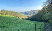 Tour Wandern Yvoir - Entre Meuse et Bocq, départ de Mont - Photo 16