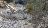 Trail Walking Moustiers-Sainte-Marie - 2023-10-13 l'Ourbe - Photo 1