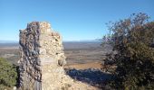 Excursión Senderismo Esparron - les Crêtes d'Artigues 21.12.2024 - Photo 4