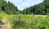 Randonnée Marche Charix - lac de genin - bretouze /  retour - Photo 16