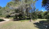 Tour Wandern Cheval-Blanc - Les gorges du Regalon  - Photo 15