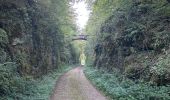 Trail Walking Noroy-le-Bourg - La Croix mercier  - Photo 3