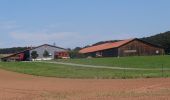 Tour Zu Fuß Hohenstein - DE-BL136 - Photo 3