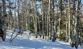 Trail Snowshoes Saint-Agnan-en-Vercors - Rousset-Plateau de Beure 7,5km - Photo 3