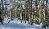 Tour Schneeschuhwandern Saint-Agnan-en-Vercors - Rousset-Plateau de Beure 7,5km - Photo 3