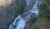 Trail Walking Menétrux-en-Joux - pic aigle cascades herisson - Photo 3