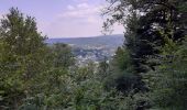 Trail Walking Bouillon - Bouillon tombeau du géant et belvédère  - Photo 1