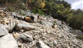 Trail Walking Saint-Mathieu-de-Tréviers - Pic St Loup  - Photo 14