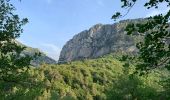 Tour Wandern Le Broc - Pont de l'Estéron, Chapelle Sainte Marguerite, bord de l'Estéron - Photo 10