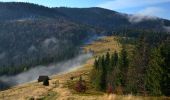 Excursión A pie Lubomierz - Ścieżka edukacyjna „Dolina Gorcowego Potoku” - Photo 2