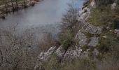 Trail Walking Berrias-et-Casteljau - Chassezac cirque du Casteljau - Photo 16