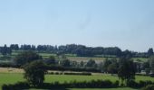 Tour Zu Fuß Büllingen - GrWandArd 15 Büchholz de pracht van het NP Eifel (PVDB) - Photo 6